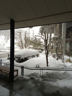 IMG_2364.jpg