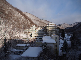 P2150017.jpg