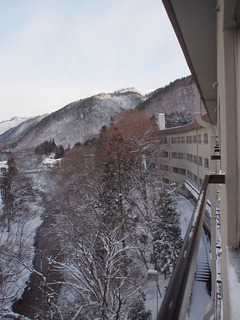 P2150021.jpg