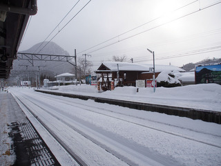 P2150030.jpg