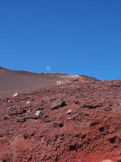 P7310367.jpg