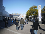 wf0001.jpg